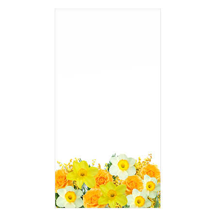 Цветы, растения - 00068